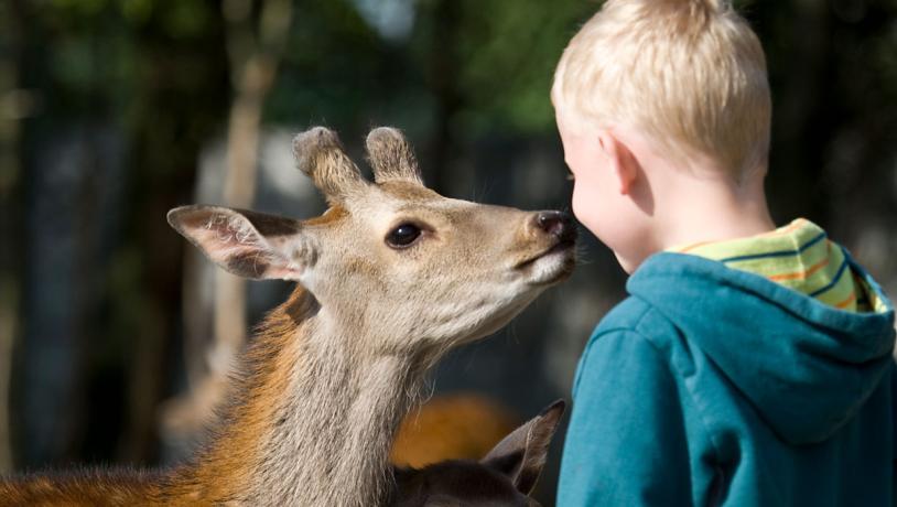 Jyllands Park Zoo