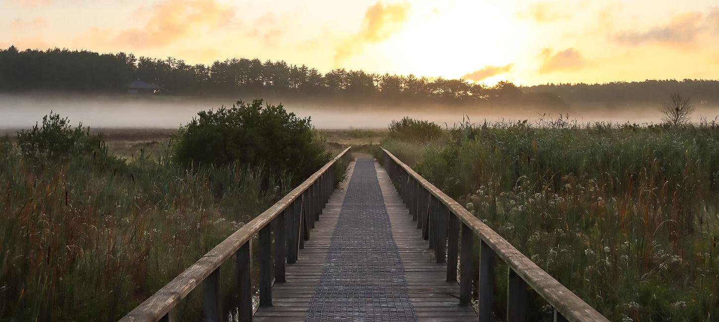 Præstbjerg natur